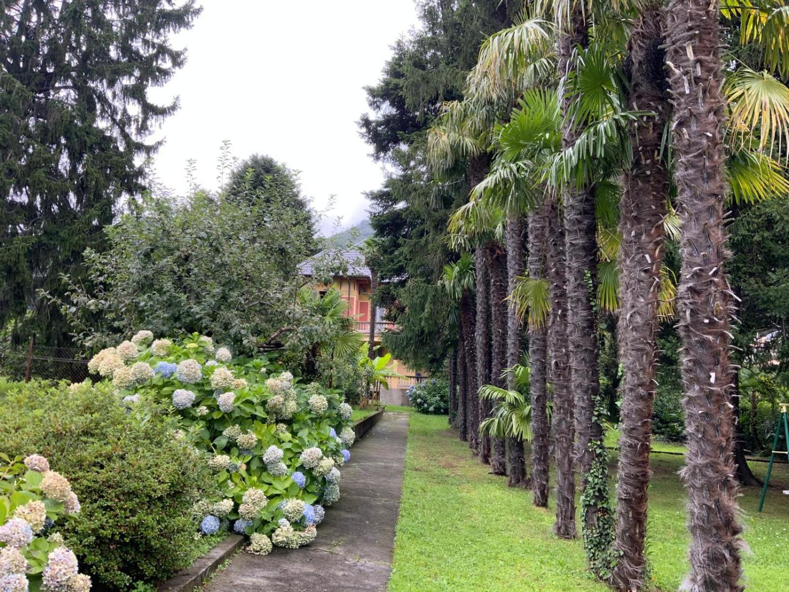 Villa Del Castanar Maccagno ภายนอก รูปภาพ