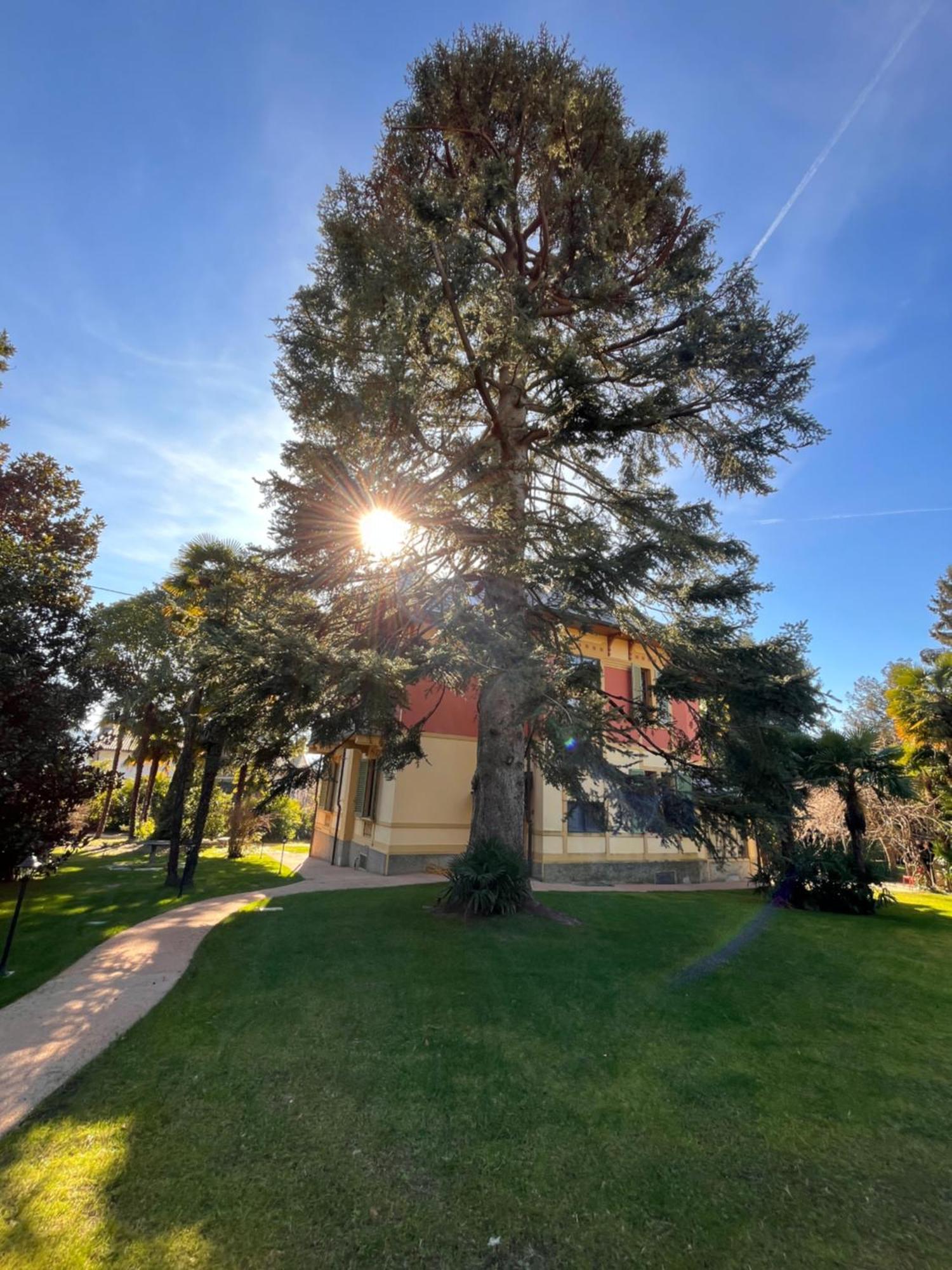 Villa Del Castanar Maccagno ภายนอก รูปภาพ